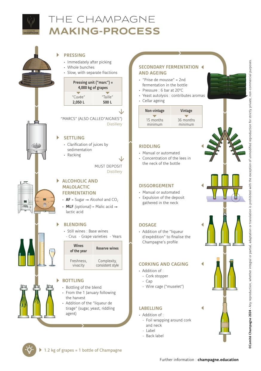 Factsheet-Champagne-Making-Process-EN.jpg