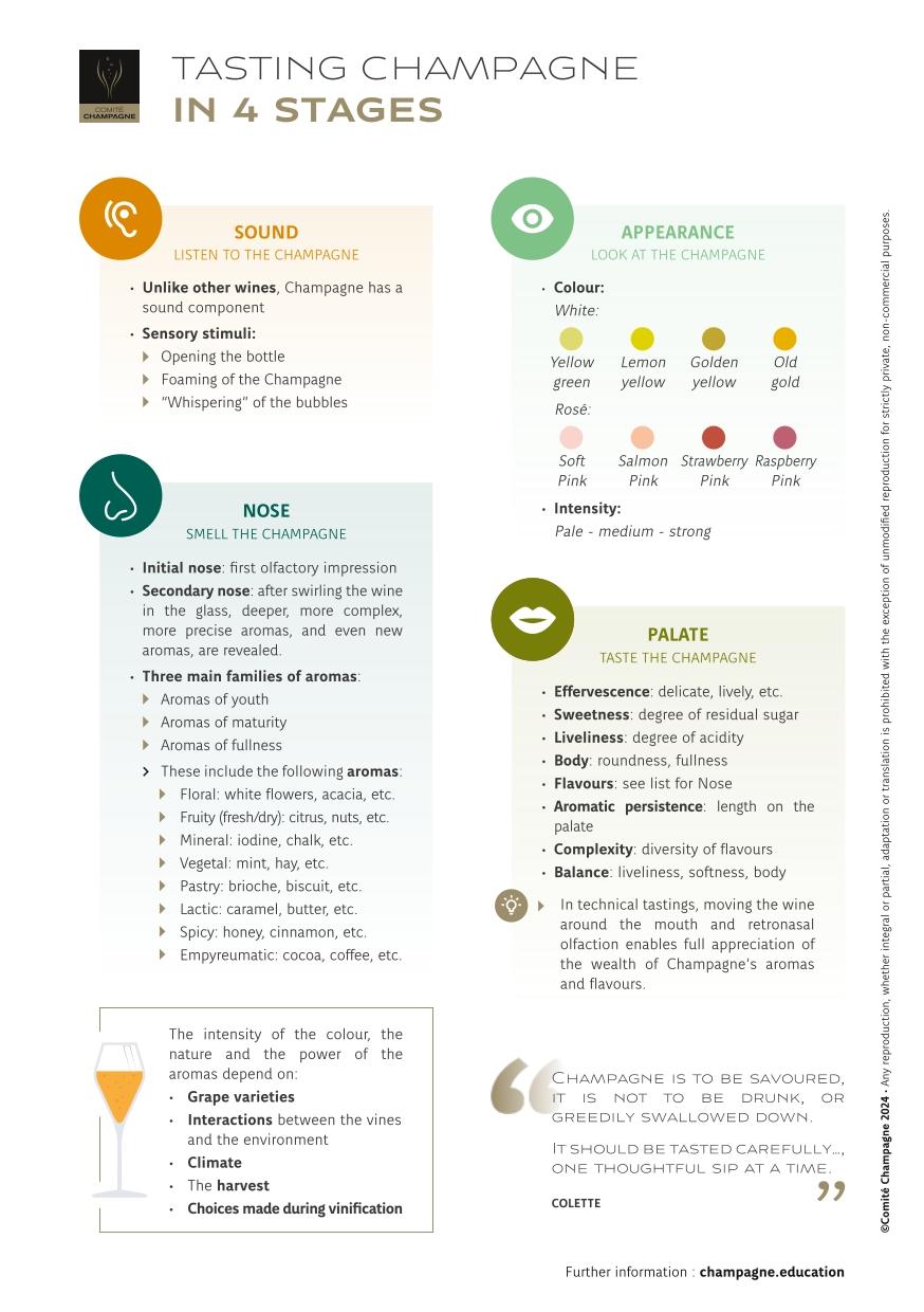 Factsheet-Champagne-Tasting-EN.jpg