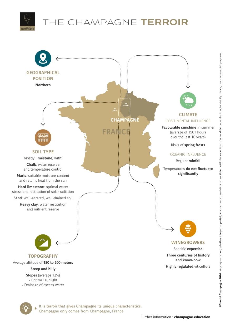 Factsheet-Champagne-Terroir-EN.jpg