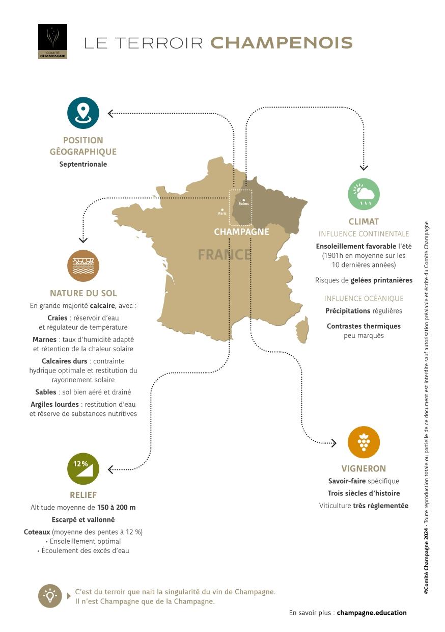 Fiche-Terroir-Champagne-FR.jpg