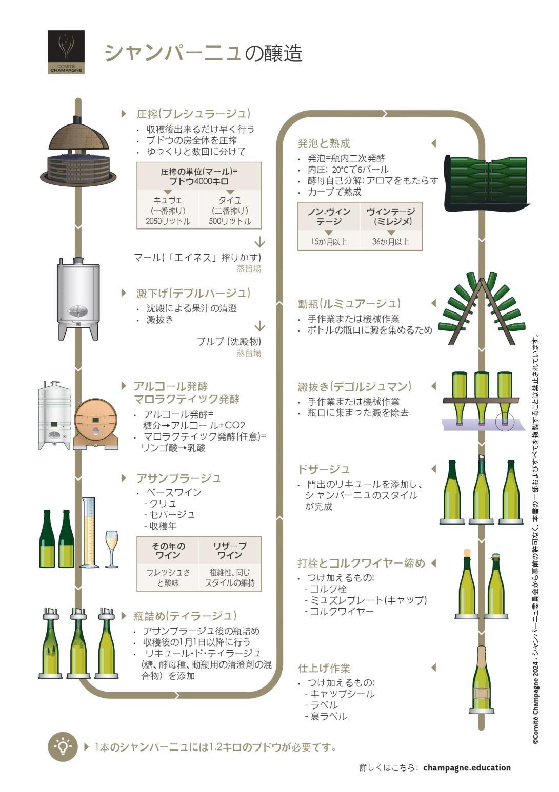 シャンパーニュの醸造