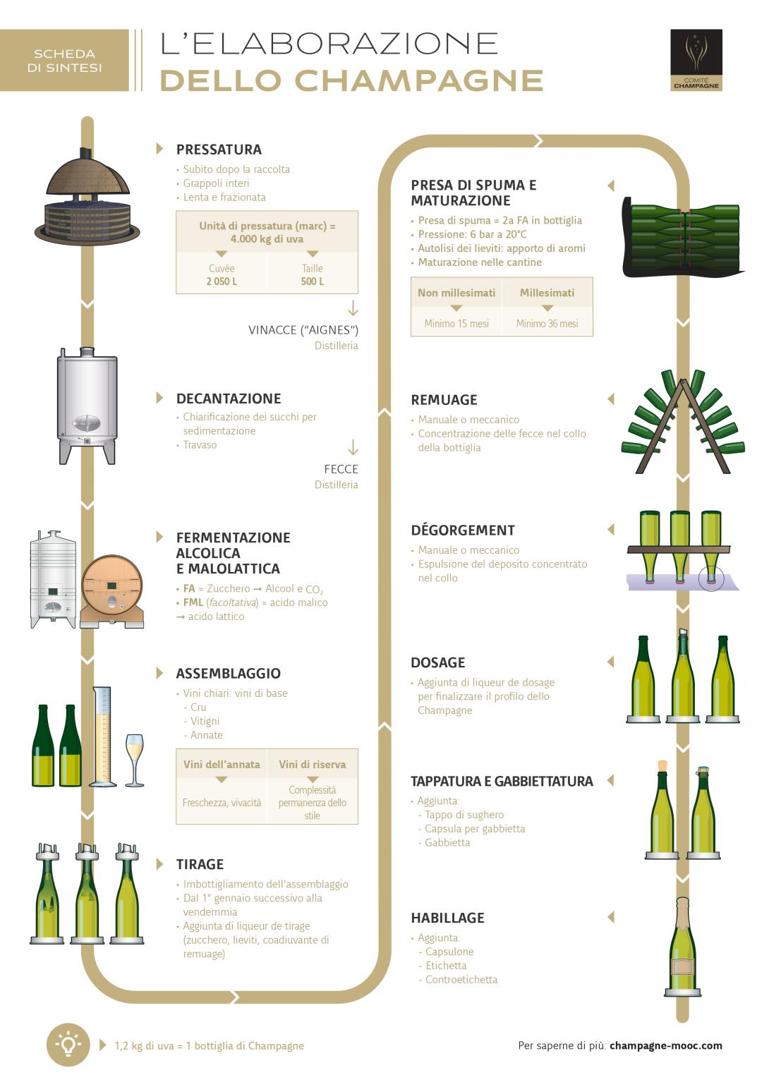 L’ELABORAZIONE DELLO CHAMPAGNE